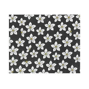 Deco Nail lCV[ N-70 TT p[ lCA[g lCV[ ZtlC lCp[c WFlC lCpi