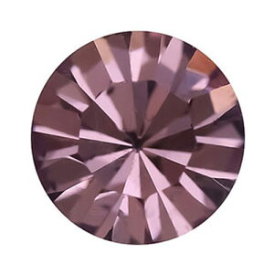 PRECIOSA `g(VJbg) CgAWXg SS24 20P lCA[g lCp[c lCXg[ lCpi