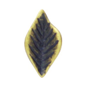 SHAREYDVA ×BLC lCp[c ^[t AeB[NS[h M 8P lCA[g lCp[c ^X^bY ^p[c