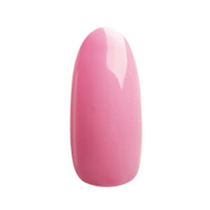 MoreCouture ���A�W�F�� �J���[�W�F�� #211 �X�g���x���[�p�t�F 5g LED �\�[�N�I�t �J���[�W�F�� ���A�N�`���[�� �W�F���l�C�� �l�C���p�i