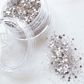 NOVEL Original glitater champagne silver 1.7g G13 ノヴェル ネイルアート ジェルネイル ネイルアート ラメ グリッター パウダー