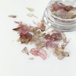 Bonnail AQ[gt[N [hiCg lCA[g }CJ t[N lCp[c lCXg[ lCpi