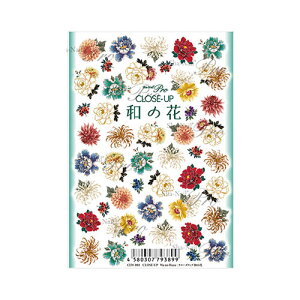 ʃlC Pro N[YAbv mni ylCV[@WFlC@@a@l@z