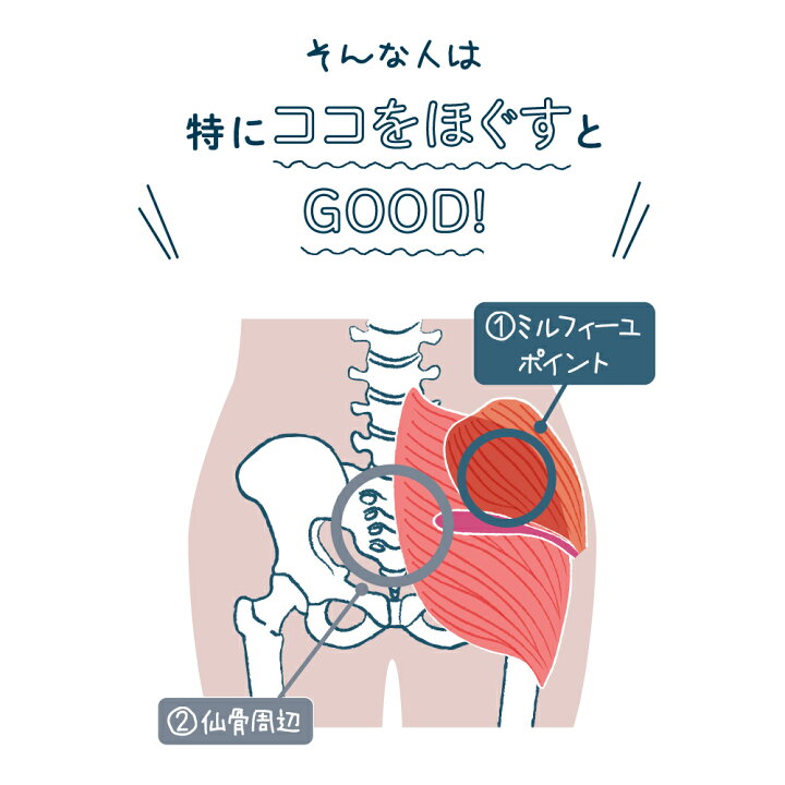 楽天市場】【ポイント10倍】 【10%OFF】 整体ヒップパッド RAKUNA 