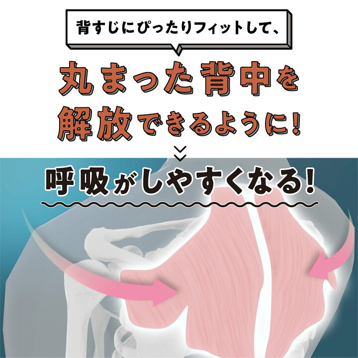 楽天市場】胸を開くまくら 枕 まくら 胸をひらく 寝具 胸開き 睡眠用 