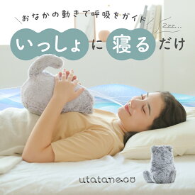 うたたねこ utataneco 抱き枕 ぬいぐるみ 抱きまくら 猫 ネコ ねこ 入眠グッズ 快眠グッズ 快眠タイム ふわふわ 呼吸 整える プレゼント おすすめ ギフト ネルチャー