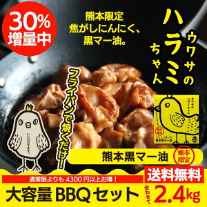 ET̃n~F{}[eBBQZbg2400g  O 󏭕ʒn~