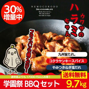 �E���T�̃n���~�����w����BBQ�Z�b�g9.7kg �������� �����O���� �󏭕��ʒ��n���~ ��e�� �w���� �͋[�X �C�x���g �A�E�g�h�A BBQ