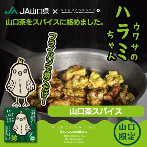 ET̃n~RXpCX 155g {n~ n~ ܂  ē BBQ