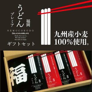 福岡うどんプレミアム4人前ギフトセット