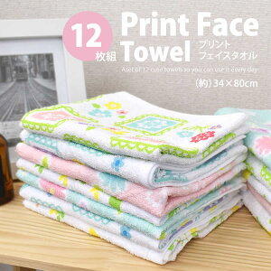 vg tFCX^I 12g tFCX^I tFCX^I ƖptFCX^I AEghA^I ^^I ii^I 100 6F 34×80cm ԕ@@LN^[@ 