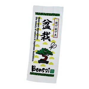 B^I { Y ӂ킳^I ӂ킳 ^I 34×85cm Rbg100 \K[[ pC Rbg tFCX^I ͂ {  {̂ yY CoEh CO 