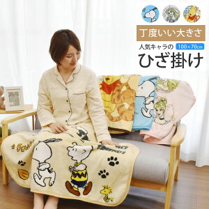 y12/1 Si|Cg10{!z Ђ| uPbg 킢 LN^[ G|  Xk[s[ ܂̃v[ vZX tl RpNg ӂӂ ^ 蕨 70?100 