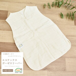 y11/25 Si|Cg10{z 6dK[[ GRebNXF X[p[  Y 100% ~ h Q₦΍ xr[ LbY WjA q n Vv