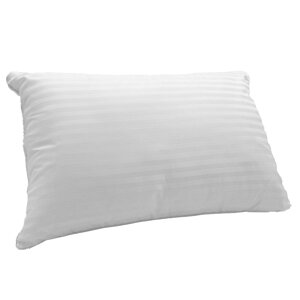 y11/25 Si|Cg10{z  ܂ 43×63cm {[ 􂦂  Te XgCv |GXe }CNt@Co[킽 EHbVu ze s[ OK  ze^Cv܂