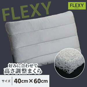 yFLEXYz􂦂    40x60 |G` C GA[ air ʋC  { t@Co[ O\ QԂT|[g o[Vu 