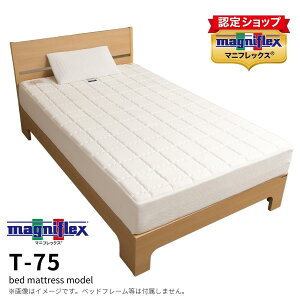 yK̔Xzy12Nۏ؁z}jtbNX T-75 }bgX VO Z~_u _u NC[ mXvO o[Vu  炩  ̈U  ϋv ʋC u 