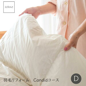 sohnoi\[mjCandidR[X _u HуtH[ _uTCY HтӂƂ zCgO[X