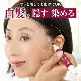 【日本製】クイックヤングカラースティック 白髪隠し ダークブラウン 洗い流し不要 生え際 もみあげ 分け目 ペンタイプ 白髪用 筆ペンタイプ 白髪染め 白髪 カラーリング ヘアカラー リタッチ ポイントケア ノック式 部分染め ポスト投函 プランドゥ