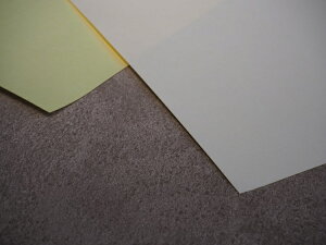 yg[[P@_utF[X ^Cvʃe[v DF8350@210mm×297mm 10zPOPĽŒpA|X^[f̌ŒpƂĂE߂ł