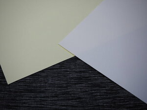 y쏊@VOC mnQRʃe[v No.725F@210mm×295mm@10zVOCŃmnQ^Cv̔S