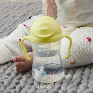 Xg[}O Sippycup Vbs[Jbvb.box WF[gJ[ vC}[J[yBABYFxr[}OzuyΉv