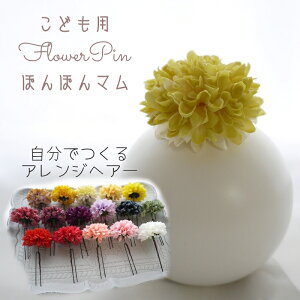  qǂ  wAANZT[  7 w ܎O  { m 753 t[ 䂩 LbY ͂ e F Ǝ CG[ wA[h čՂ { yCitron ۂۂ}(