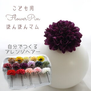   qǂ  Ǝ qǂ wAANZT[ LbY ͂   w ܎O  m 753 7 čՂ e  ̎q 䂩  a ǂ { wA[h {