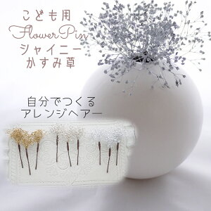  l Ȃ邩񂴂^Cv3{Zbg  I  a Up EFfBO   wAANZ wbhhX O  qǂ wAsySilver VCj[ݑ(Wv\