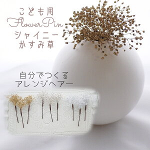  l Ȃ邩񂴂^Cv3{Zbg  I  a Up EFfBO   wAANZ wbhhX O  qǂ wAsyGold ݑ(Wv\tB) z