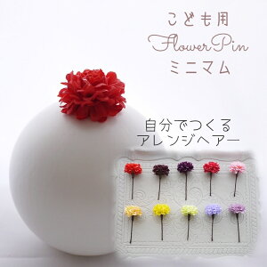  Ǝ  wbhhX wAANZ  a  qǂ m     { ̎q 753 ytomato ~j}(e) Ȃ邩񂴂^Cv1{Zbg z ܎O \ ͂