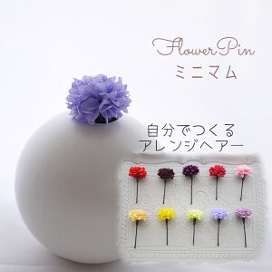 񂴂 w  yiris ~j}(e) t[wAs wbhhX(1{)z񂴂^CṽwAANZT[ m l w a   wAs {   U 