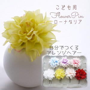  Ǝ ЂȍՂ  wbhhX wAANZ  a  qǂ m     { ̎q 753 ysun flower [i_A UsƂ񂴂Iׂ1{Zbgz 