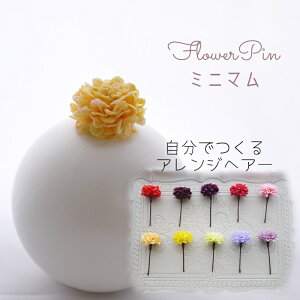 w 񂴂 wAsycream citron ~j}(e) t[wAs wbhhX(1{)z񂴂^CṽwAANZT[ m l a   {  lq  U