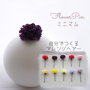   lycassis ~j}(e) t[wAs wbhhX(1{)z񂴂^CṽwAANZT[ m  l a 񂴂    wAs {   