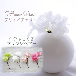  A[eBtBVt[ wAsysnow tCAix (z) t[wAs wbhhX(2{)zȂ̉\Ȃ񂴂^Cv l a      U