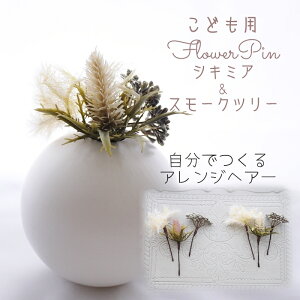  hCt[ Ǝ  wbhhX wAANZ  a  qǂ m     { ̎q 753 yCream VL~AX[Nc[ Ȃ邩񂴂^Cv3{