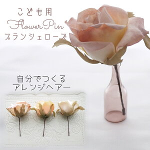  Ǝ  wbhhX wAANZ  a  qǂ m     { ̎q 753 ypink beige uV[Y UsƂ񂴂Iׂ1{Zbgz ܎O 
