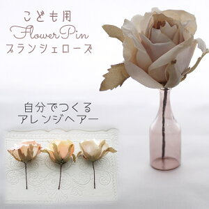  ܎O qǂ LbY  wAANZT[ 7 w q a Ǝ Ղ  a wAs { ǂ  753  Ǝ   a ЂȍՂ  ꒅ \ 