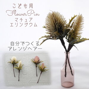  753 ̎q {  wbhhX wAANZ  a  qǂ m     yȂ邩񂴂^Cv2{Zbg cream }`AGWEz q ܎O \ 