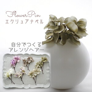 hX   wA[hykhaki GNAix(z) t[wA[h wbhhX(2{)zȂ邩񂴂^Cv wAANZT[ m J[L [ l w a 