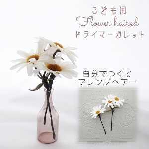  Ǝ ̎q q  a m EFfBO   wAANZ wbhhX yhC}[Kbg Ȃ邩񂴂^Cv2{Zbgz O  qǂ wAs   