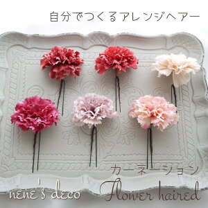  wAANZT[   wA[hy6F J[l[V(WREifVR) t[wAs wbhhX(1{)zUsƂ񂴂IׂwAANZ  lq  ꒅ 