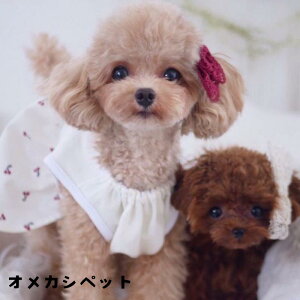 犬 リボン 飾り ヘアアクセサリー ぱっちん 小型犬 子犬 チワワ 耳飾り 犬服 帽子 【大きめ華奢 コットンレースリボン】 トイプードル 中型犬 猫 ペット用 おめかし 犬グッズ ハロウィン ク