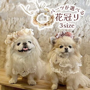  Ԋ Xq  ^ ڂ ^  a   y}ƃ}[Kbĝ݉Ԋz dog pet L ˂ OhbO wAANZT[ ps[ e 킢  a