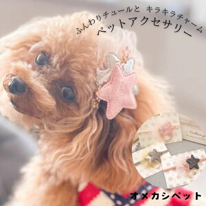    [ X^[  Xq ybg dog ANZT[ wANbv ob^ yl`[Shiningstarz R[s hbOANZ `[J[ ` gCv[h L  M
