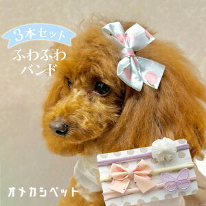 hbO `[J[ ybg nenesy3{Zbg pXe{E||`[E[X傤 ӂӂohZbgz` gCv[h L ybgp ObY n[lX wAA