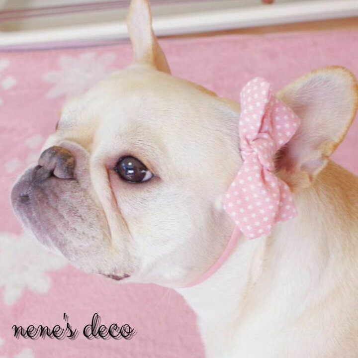 楽天市場】ペット りぼん 犬 ネコ アクセサリー リボン コームピン  
