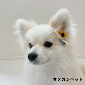   wAsyЂ܂聕}[Kbg ~jXbONbvszhbOANZT[ ~jNbv ^ ^ ` hbOEFA  gCv[h ~j`A_bNX 