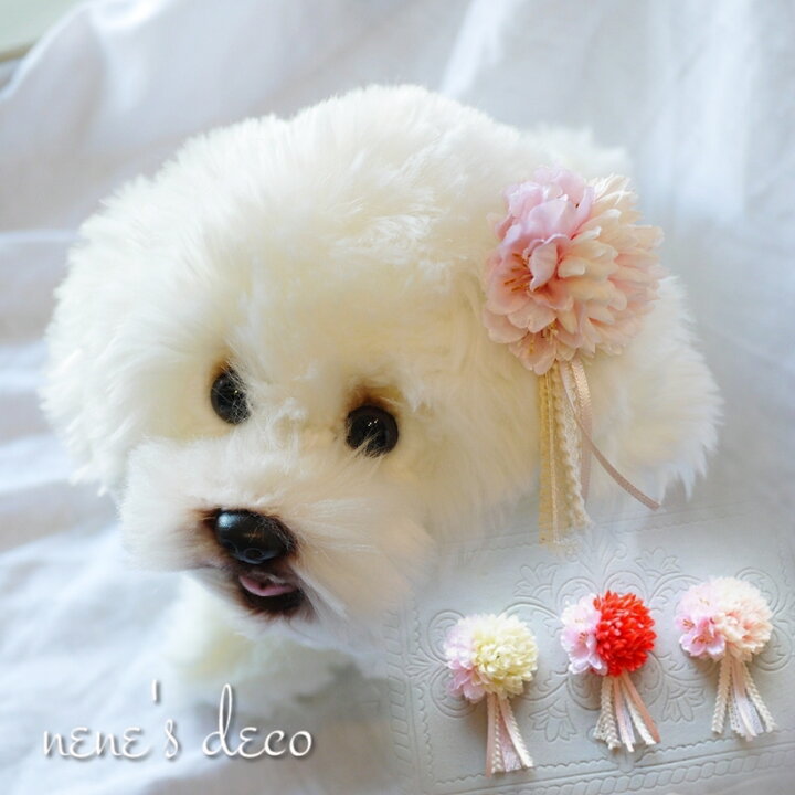 楽天市場 犬 和飾り リボン ひな祭り 桜マムとコットンリボンタッセル和飾り コームピン ヘアクリップ バレッタ ふわふわバンド 選べるペットアクセサリー 和風 着物 ペット用 雛祭り わんちゃん 犬グッズ ハーネス飾り ぱっちん 小型犬 超小型犬 チワワ テリア